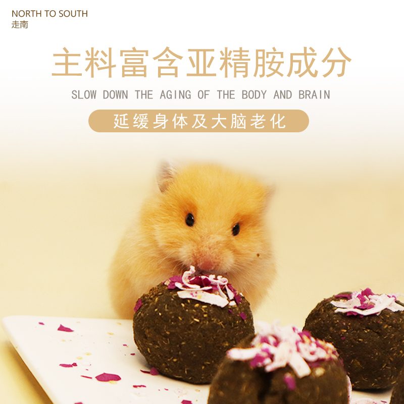 生命仓鼠花枝小宠功能性金丝熊