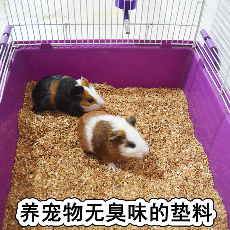 莫拉提仓鼠尿沙木屑兔子金丝熊荷兰猪龙猫尿砂松鼠除垫菌密码 宠物/宠物食品及用品 兔兔垫料/尿垫 原图主图