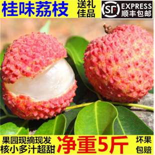 灵山桂味正宗广西应季荔枝新鲜现摘现发高品质精选水果5斤包邮