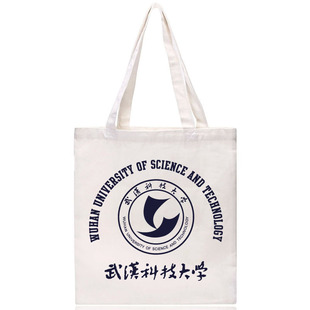 新品WUST武汉科技大学纪念品单肩帆布包环保购物袋手提有拉链女