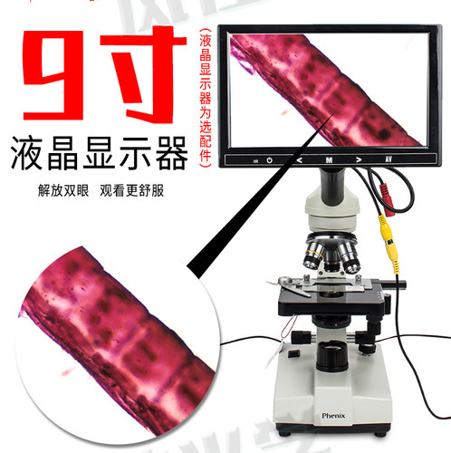 畜牧养殖生物显微镜Phenix/凤凰