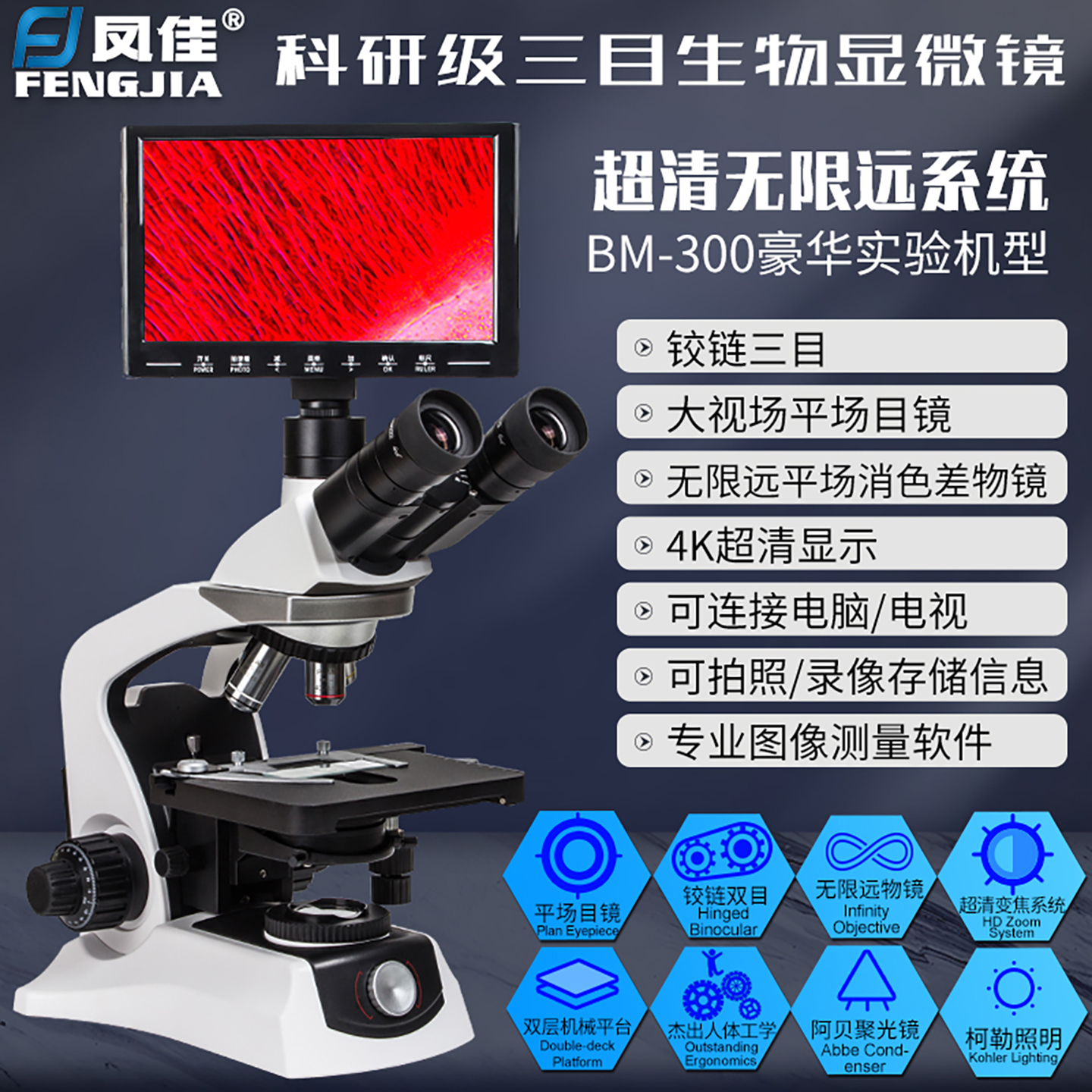 凤佳BM-300科研三目显微镜