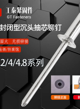 全铝封闭型沉头抽芯铆钉GB12616 加长拉丝铝帽铝芯车外箱防水拉钉