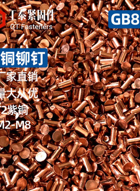 沉头T2紫铜铆钉GB869敲击铆钉紫铜平锥头实心平头M2M3M4M5-M8铆钉