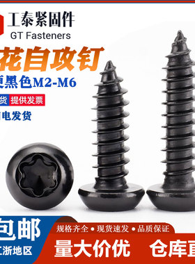 黑色盘头内梅花自攻钉GB2670.1圆头加硬木螺丝花型防盗螺钉M2M3M4