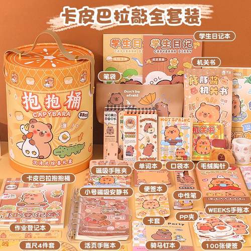 文具生日礼物抱抱桶毕业季可爱