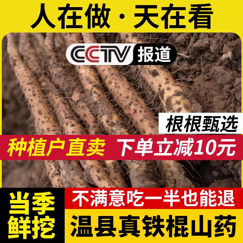 正宗河南焦作温县垆土铁棍铁杆淮山怀山药新鲜5斤特产整箱准铁桂