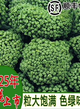2025年新三七花云南文山特级正品37茶500克田七花非野生文山特产