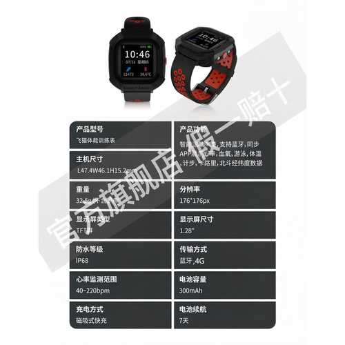 飞猫心率监测户外体能训练监测表