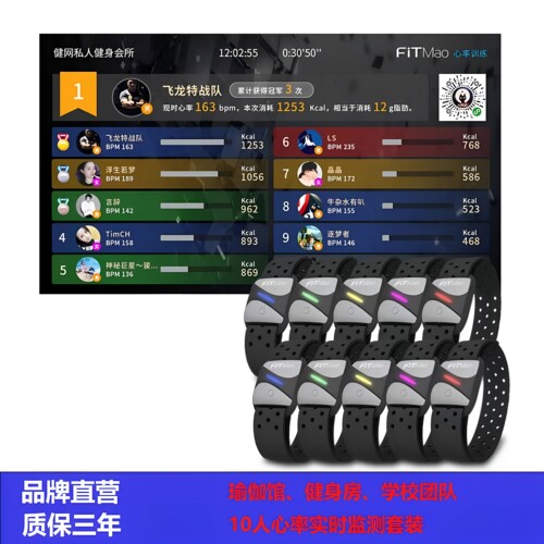 飞猫实时心率监测系统