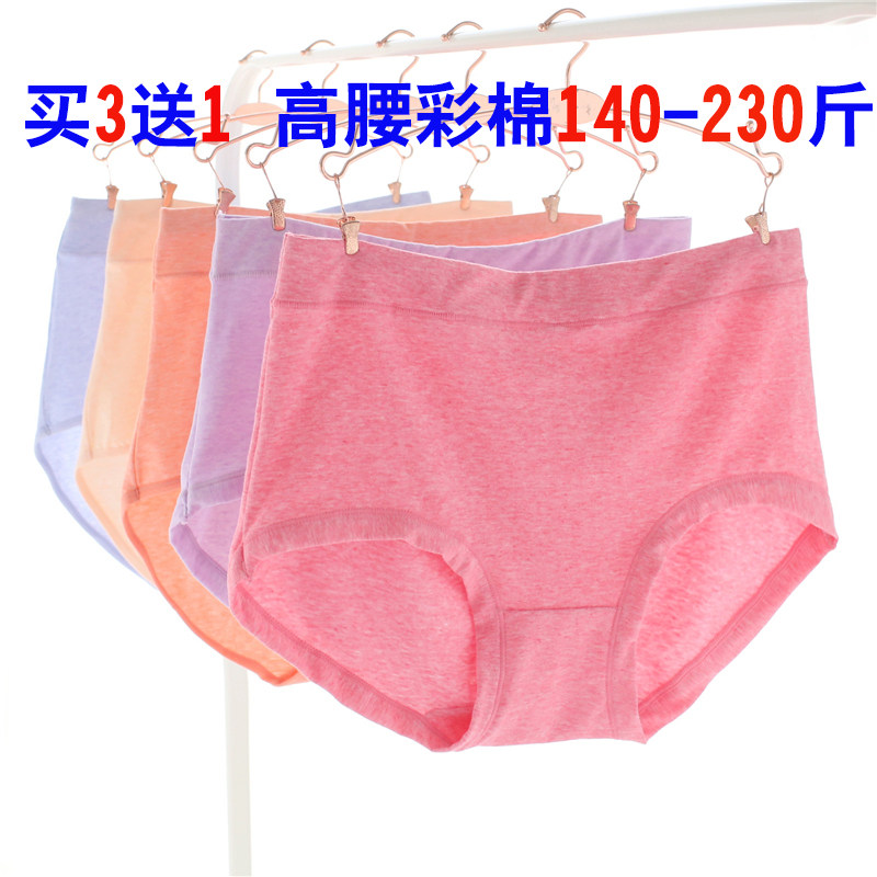 Slip en coton - Ref 642795 Image 1