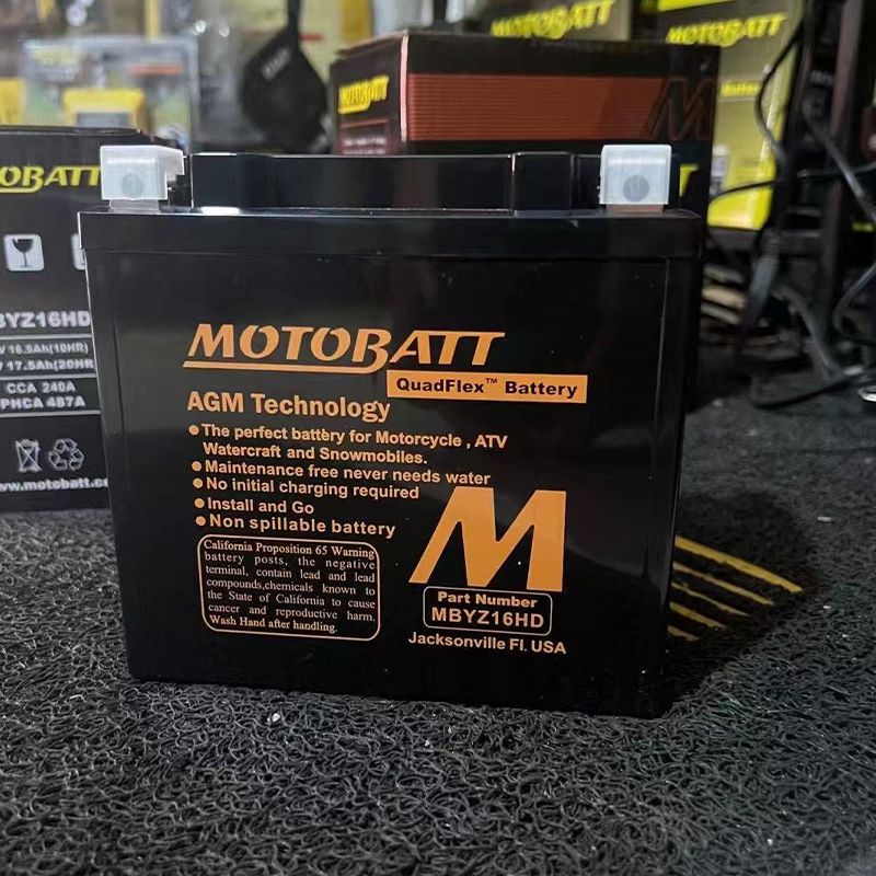 原装配套哈雷883/X48/750V-Rod 泛美1250运动者1250S硬汉1200电瓶