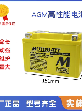 YT9-4 适用豪爵TR300 DL/DR250 DR300摩托车电瓶12V8AH蓄电池