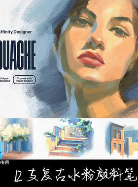 AD笔刷 12支复古水粉颜料纹理矢量像素affinity designer手绘画笔