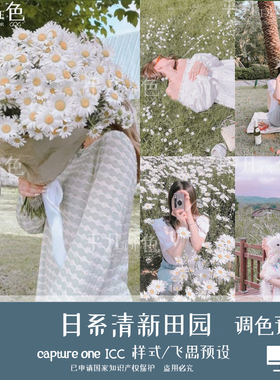 captureone样式 日系清新田园风人像风光调色滤镜C1飞思预设CO975