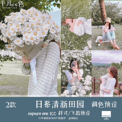 captureone样式 日系清新田园风人像风光调色滤镜C1飞思预设CO975