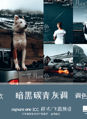 capture one样式 暗黑碳青灰色旅拍风光调色滤镜c1飞思预设CO876