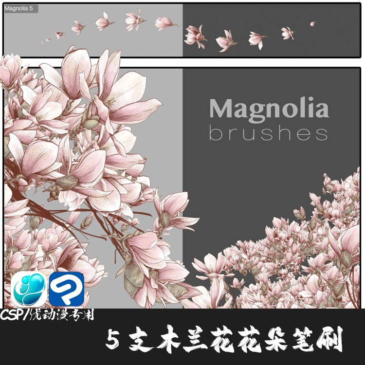 ClipStudioPaint笔刷 5支日漫木兰花手绘风花朵效果CSP优动漫画笔