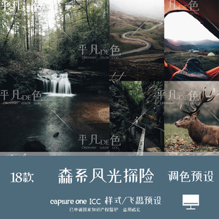 capture one样式 森系风光探险旅行胶片调色滤镜C1飞思预设CO973