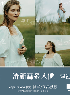 captureone样式小清新复古森系人像调色摄影滤镜 C1飞思预设CO938