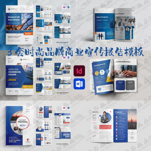 Indesign/Word模板3套A4公司简介品牌营销策划展示项目提案ID画册