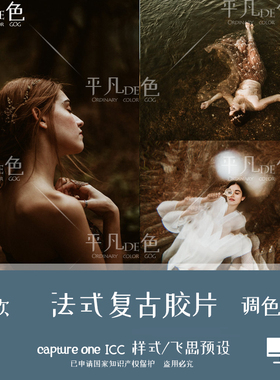 captureone样式 法式复古胶片旅拍人像调色滤镜 c1飞思预设CO940