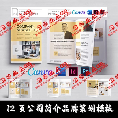 Indesign/PSD/Word/Canva模板A4 12页公司简介品牌策划营销手画册
