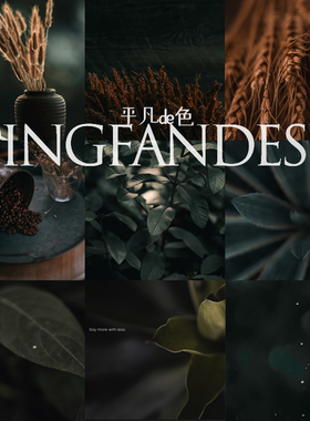 captureone样式静物植物工艺暗冷调胶片调色滤镜c1飞思预设CO902