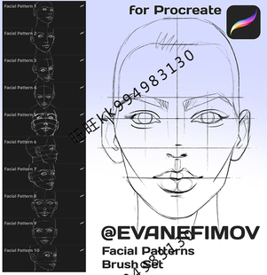 Procreate笔刷 人脸人像面部多角度人脸辅助线IPAD大师级画板534