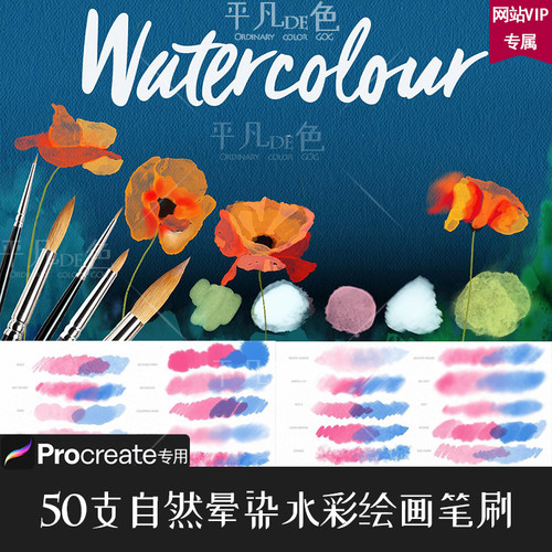 Procreate笔刷 50支真实水彩晕染颜料绘画画笔 IPAD大师级画板748