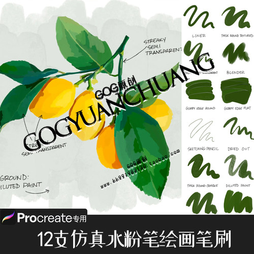 Procreate笔刷12支仿真水粉艺术画笔丙烯酸厚涂手绘画笔触ipad934