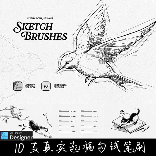 AD笔刷 10支起稿勾线素描速写矢量像素线稿affinity designer画笔