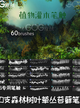 PS笔刷 60支森林树叶树木草丛植物苔藓灌木园林场景设计笔触AB081