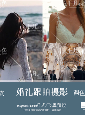 captureone样式婚礼跟拍旅拍人肖像风光调色滤镜C1飞思预设CO230