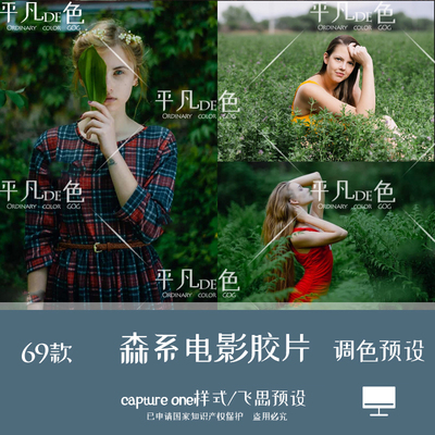 capture one样式森系胶片旅拍人像风光调色ps滤镜C1飞思预设CO228