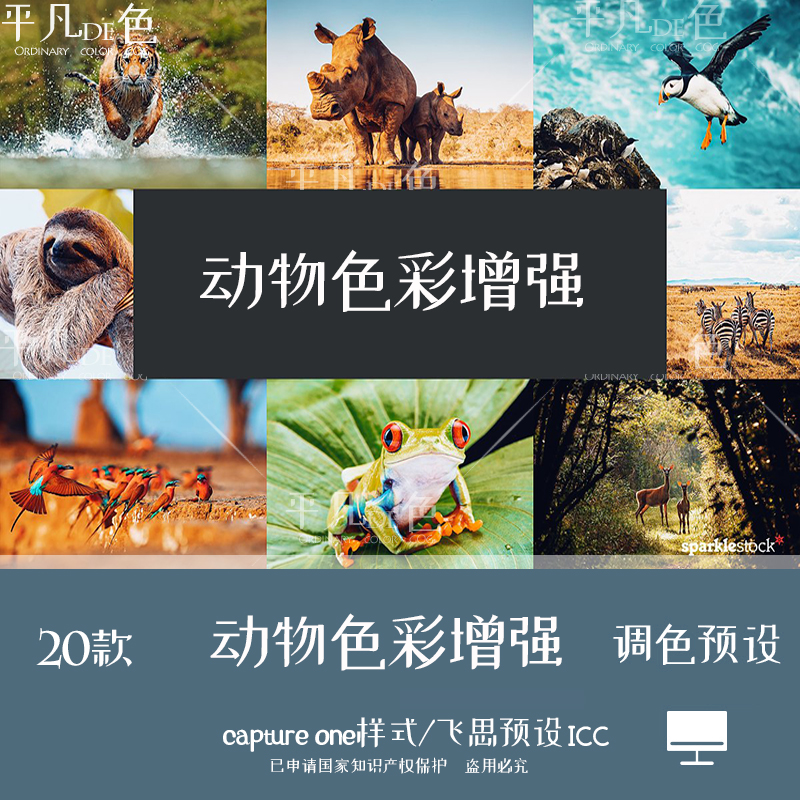 capture one样式 动物摄影色彩增强色调调色滤镜 C1飞思预设CO760