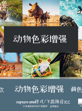 capture one样式 动物摄影色彩增强色调调色滤镜 C1飞思预设CO760