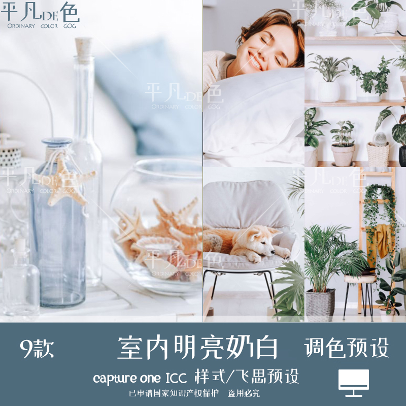 capture one样式室内装饰通透清新明亮色调色滤镜C1飞思预设CO963