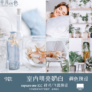 capture one样式室内装饰通透清新明亮色调色滤镜C1飞思预设CO963