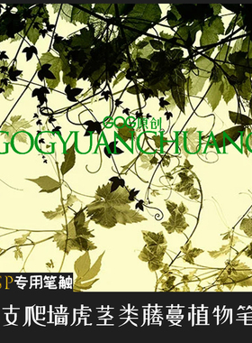 ClipStudioPaint笔刷66支爬墙虎茎类植物藤蔓树园林设计CSP优动漫