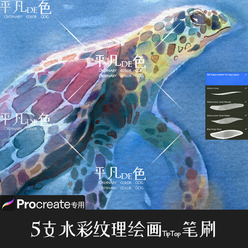 Procreate笔刷 5支水彩纸张绘画纹理插画笔触 IPAD大师级画板768