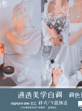 capture one样式美学通透白色调静物人像调色滤镜C1飞思预设CO982