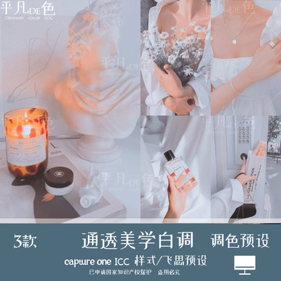 capture one样式美学通透白色调静物人像调色滤镜C1飞思预设CO982