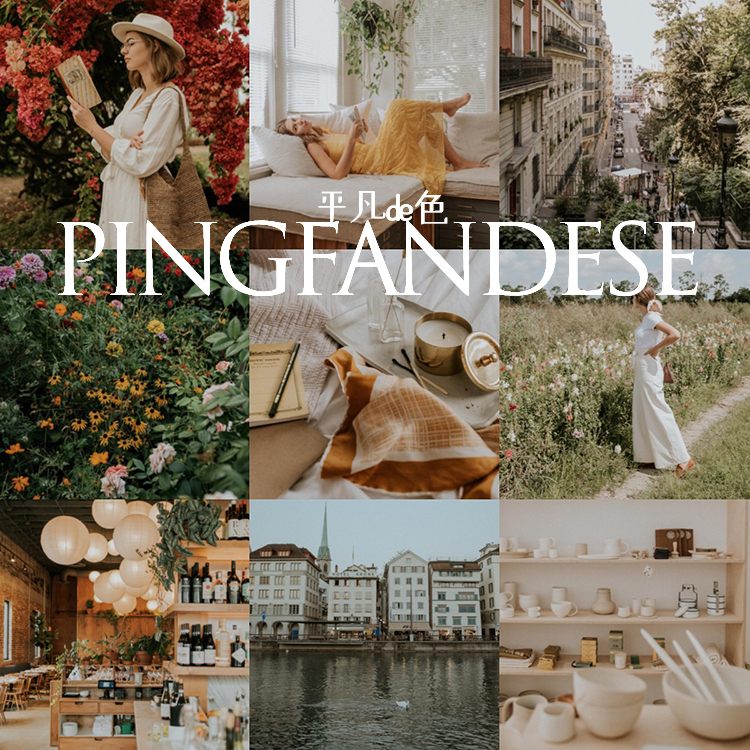 capture one样式 法式胶片旅拍人像静物调色滤镜 c1飞思预设CO644