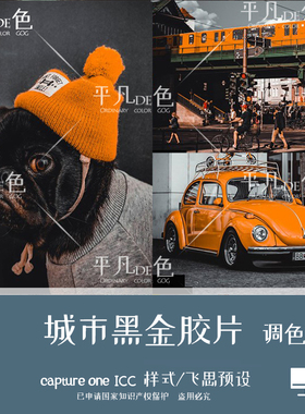 captureone样式城市建筑旅拍黑金色调色摄影滤镜c1飞思预设CO813