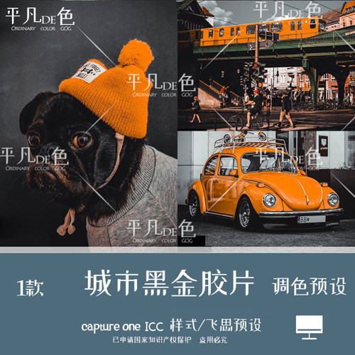 captureone样式城市建筑旅拍黑金色调色摄影滤镜c1飞思预设CO813