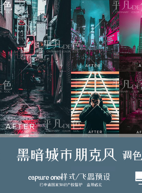 capture one样式 暗黑暗城市朋克未来风调色滤镜C1飞思预设CO276