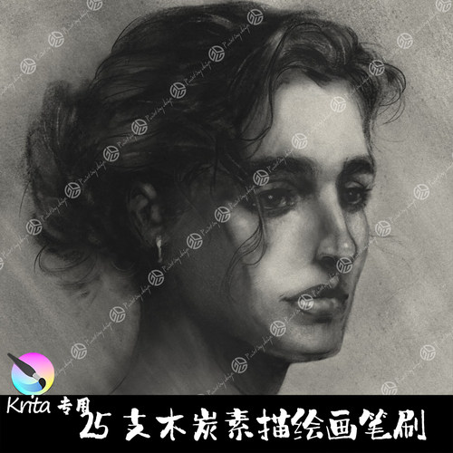 Krita5专用笔刷25支木炭笔肖像人像素描勾线起稿笔草图写实绘画笔
