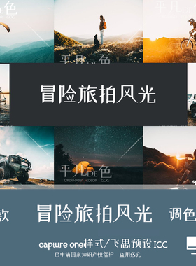 captureone样式 冒险旅拍风光景人像胶片调色滤镜C1飞思预设CO732