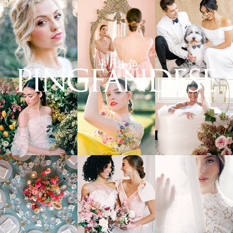 Capture One样式 清新胶片婚礼人像旅行调色滤镜 C1飞思预设CO602